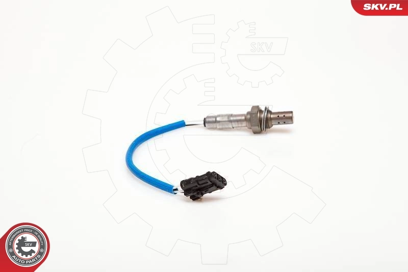 Oxygen Sensor